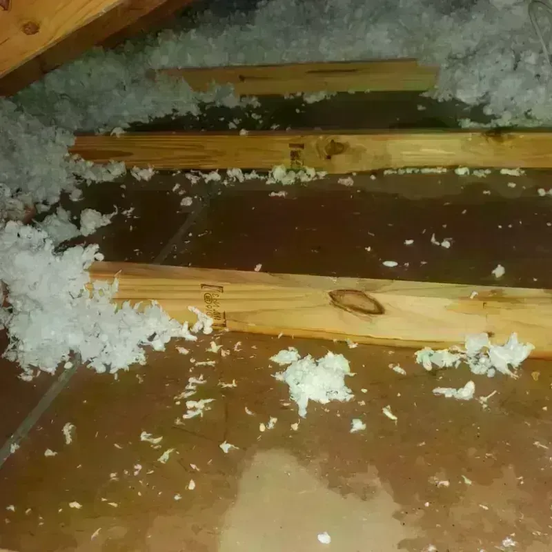 Attic Water Damage in Oronogo, MO